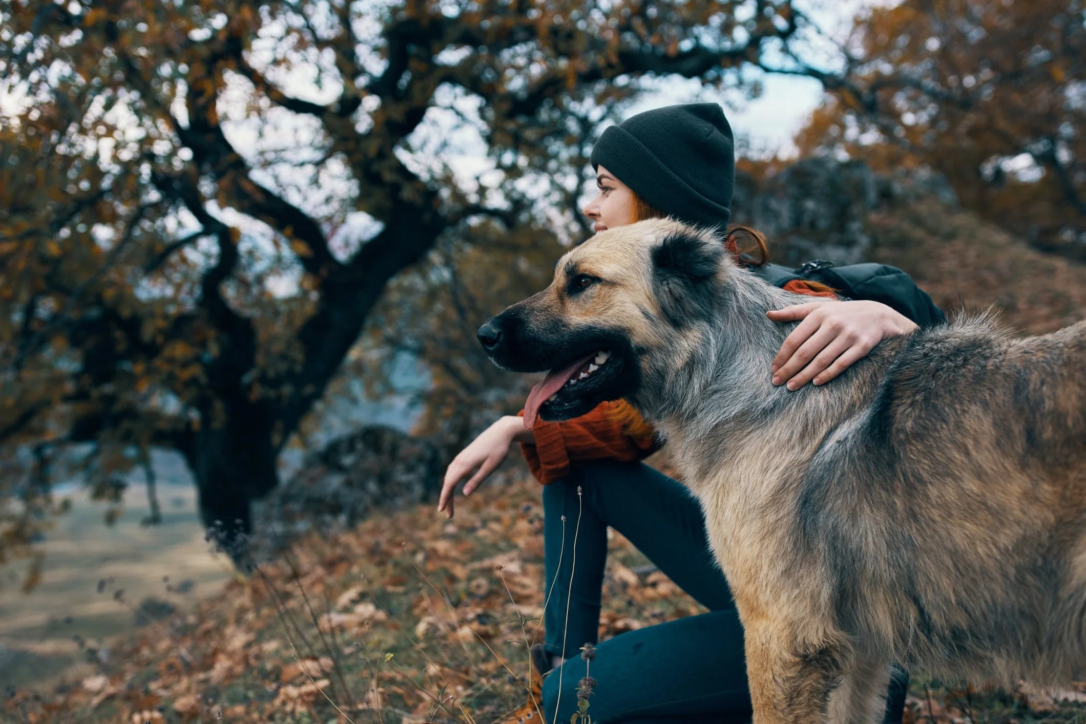 Premium Style for Every Pet