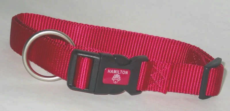 Adjustable Dog Collar 3/8x7-12 In Pink
