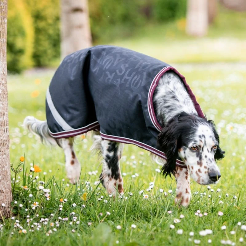 Amigo Dog Rug Ripstop - Image 8