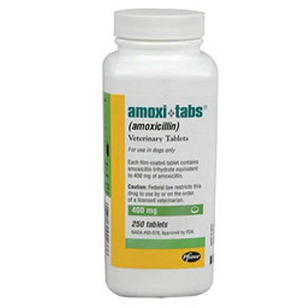 Amoxicillin - Image 2