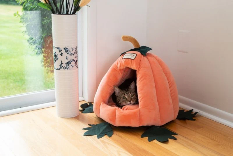 Armarkat Pumpkin Shape Cat Bed - Image 2