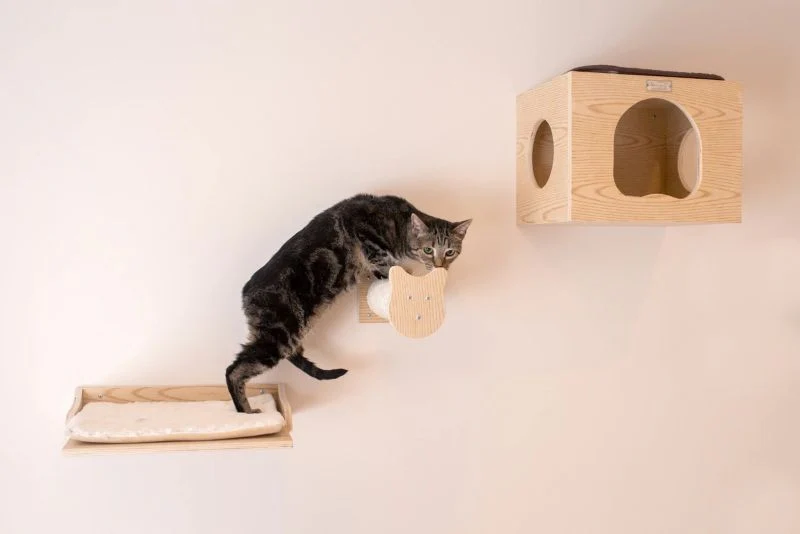 Armarkat Wall Series Cat Tree with Condo/Perches - Image 2