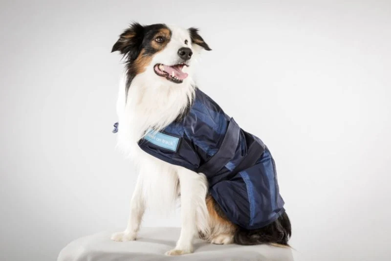 Back On Track Cool on Track Dog Coat - Image 3