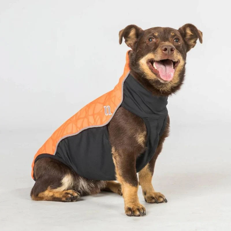Back on Track Eddie High Visibility Dog Jumper - Image 2