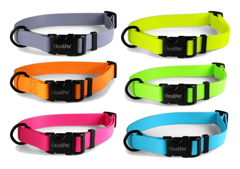 Carnival Waterproof Dog Collar - Image 7