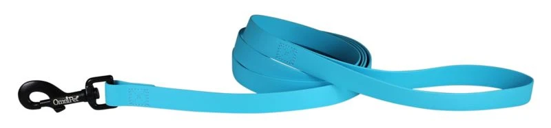 Carnival Waterproof 6ft Dog Leash - Image 5