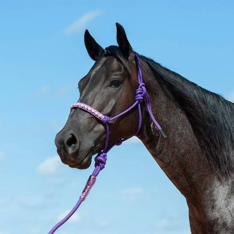 Cashel Braided Rope Halter with Lead 8 Ft Lead Black - Image 3