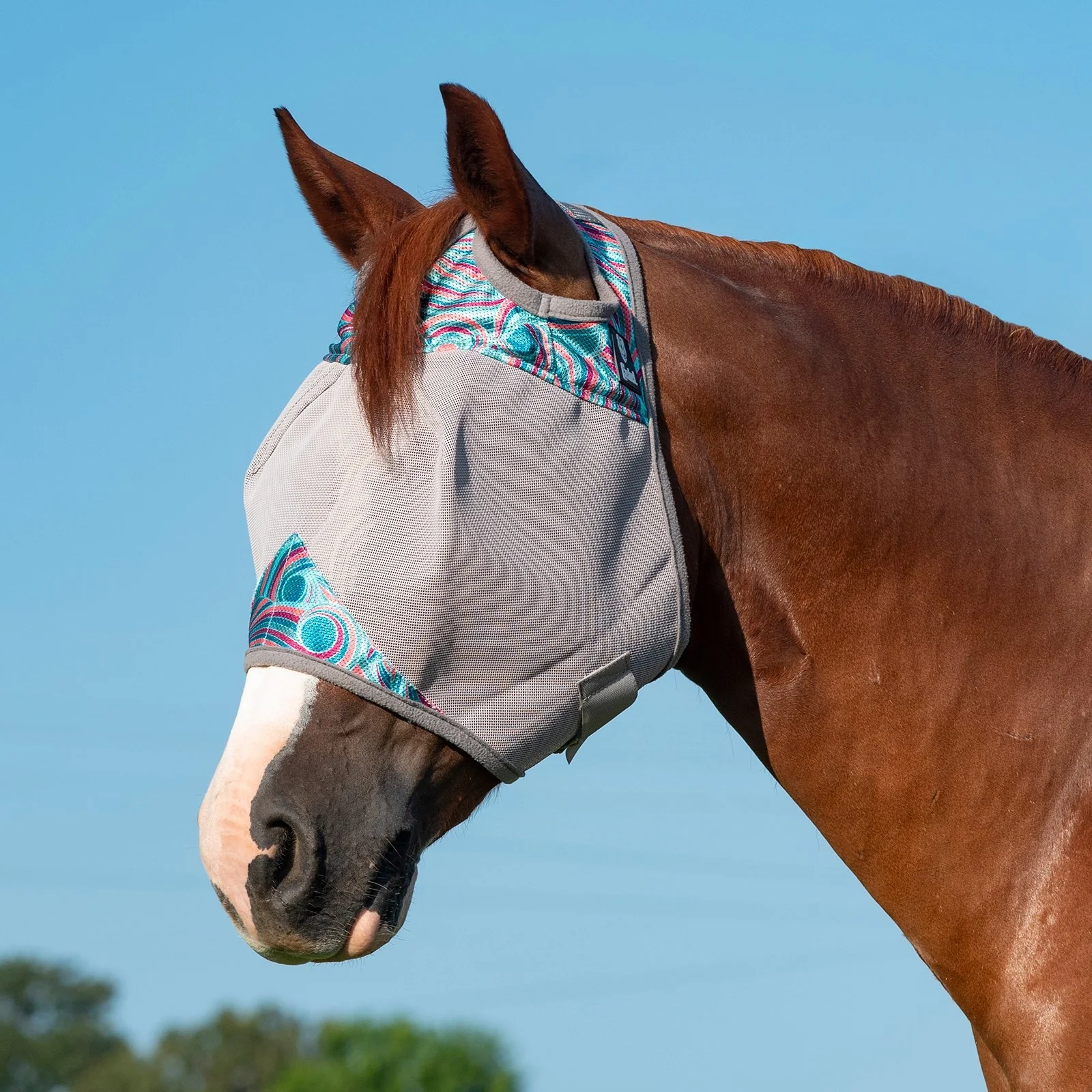 Cashel Crusader Fly Mask- Standard - Image 10
