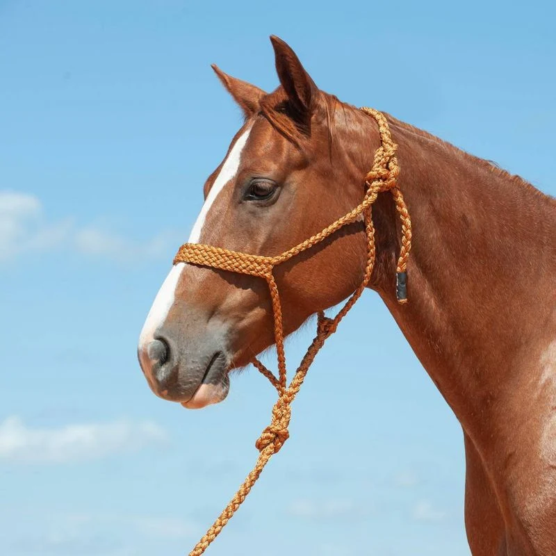 Cashel Flat Braid Halter with 9 Ft Lead Black - Image 2