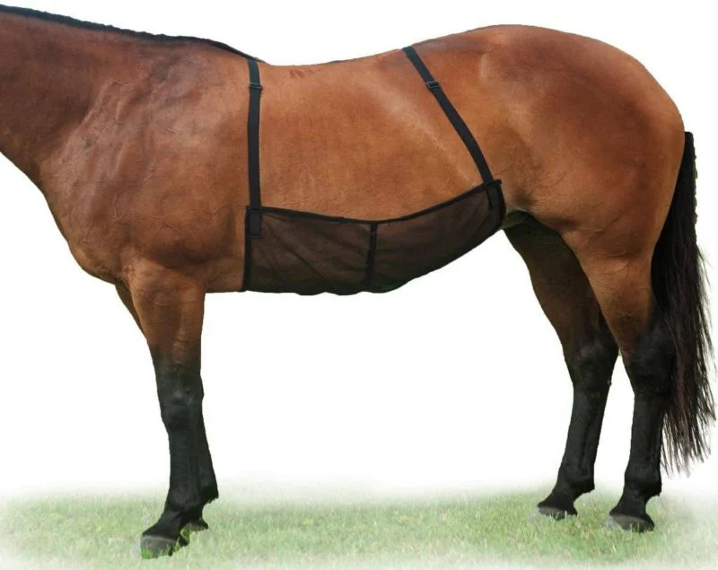 Cashel Quiet Ride Belly Guard Horse Fly Sheet Smal