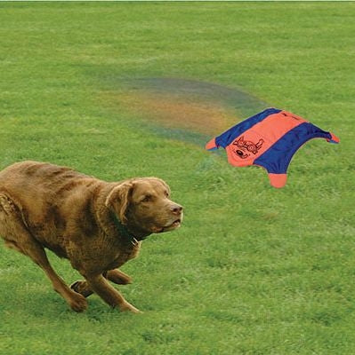 ChuckIt Flying Squirrel Dog Toy - Image 2