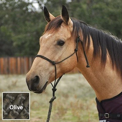 Classic Equine Premium Rope Halter Average Black - Image 3