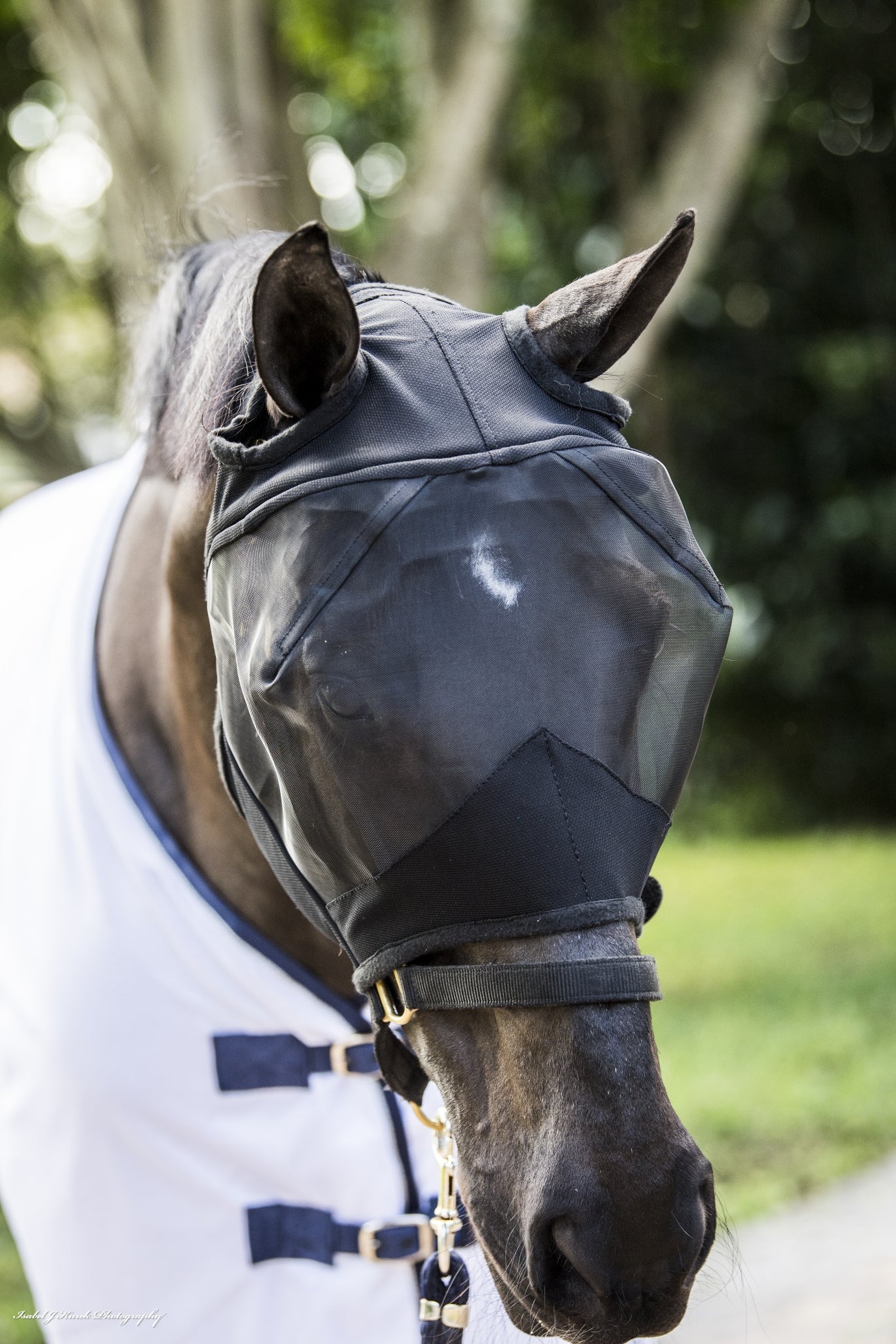 Defender Comfort Fly Mask without Ears - Image 2