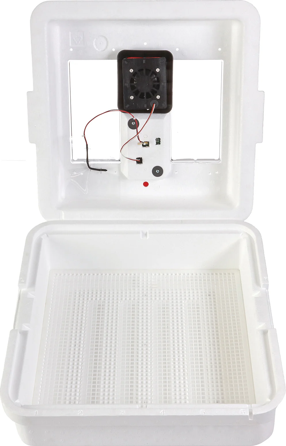 Digital Still Air Incubator