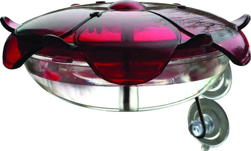 Droll Sipper Window Hummingbird Feeder Red/Clear