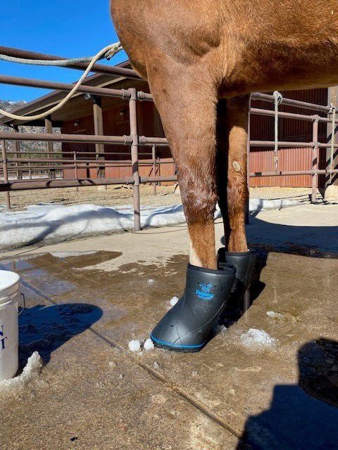 EasyCare Easyboot Remedy Soaking/Therapy Boot - Image 3