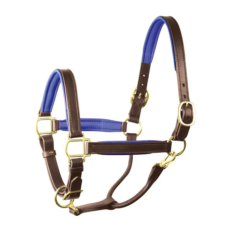 Perri's Personalized Padded Leather Halter - Image 26