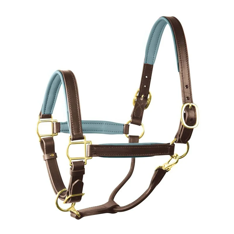 Perri's Personalized Padded Leather Halter - Image 28