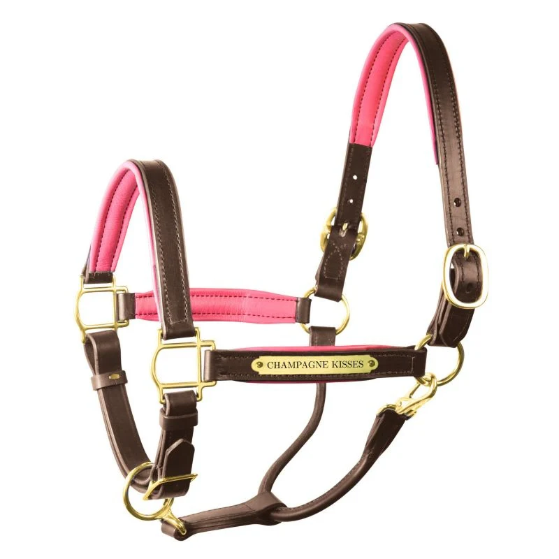 Perri's Personalized Padded Leather Halter - Image 14