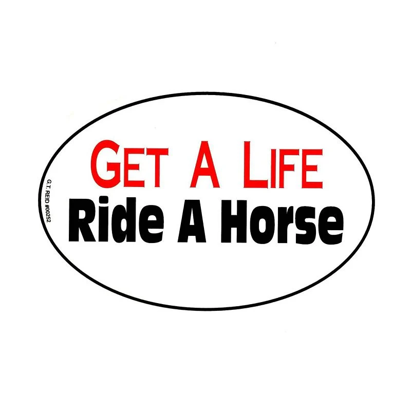 Euro Get A Life Ride A Horse Vinyl Sticker 4inx6in