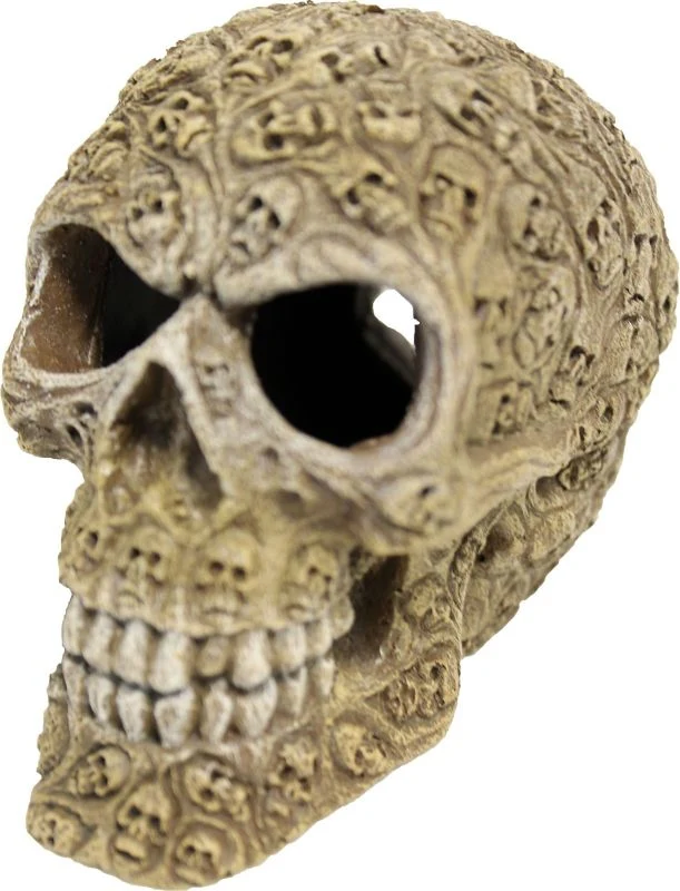 Exotic Environments Haunted Skull