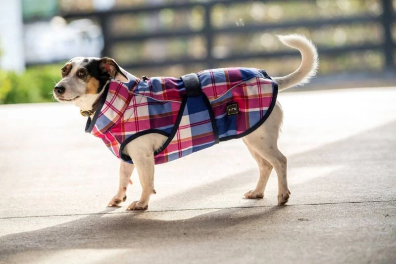 FITS All Weather Dog Coat - Image 14