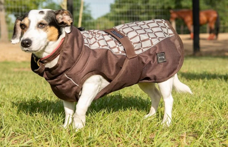FITS All Weather Dog Coat - Image 3