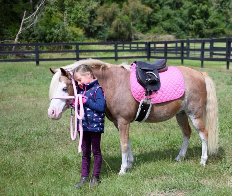 Gatsby Basic All-Purpose Saddle Pad - Image 16