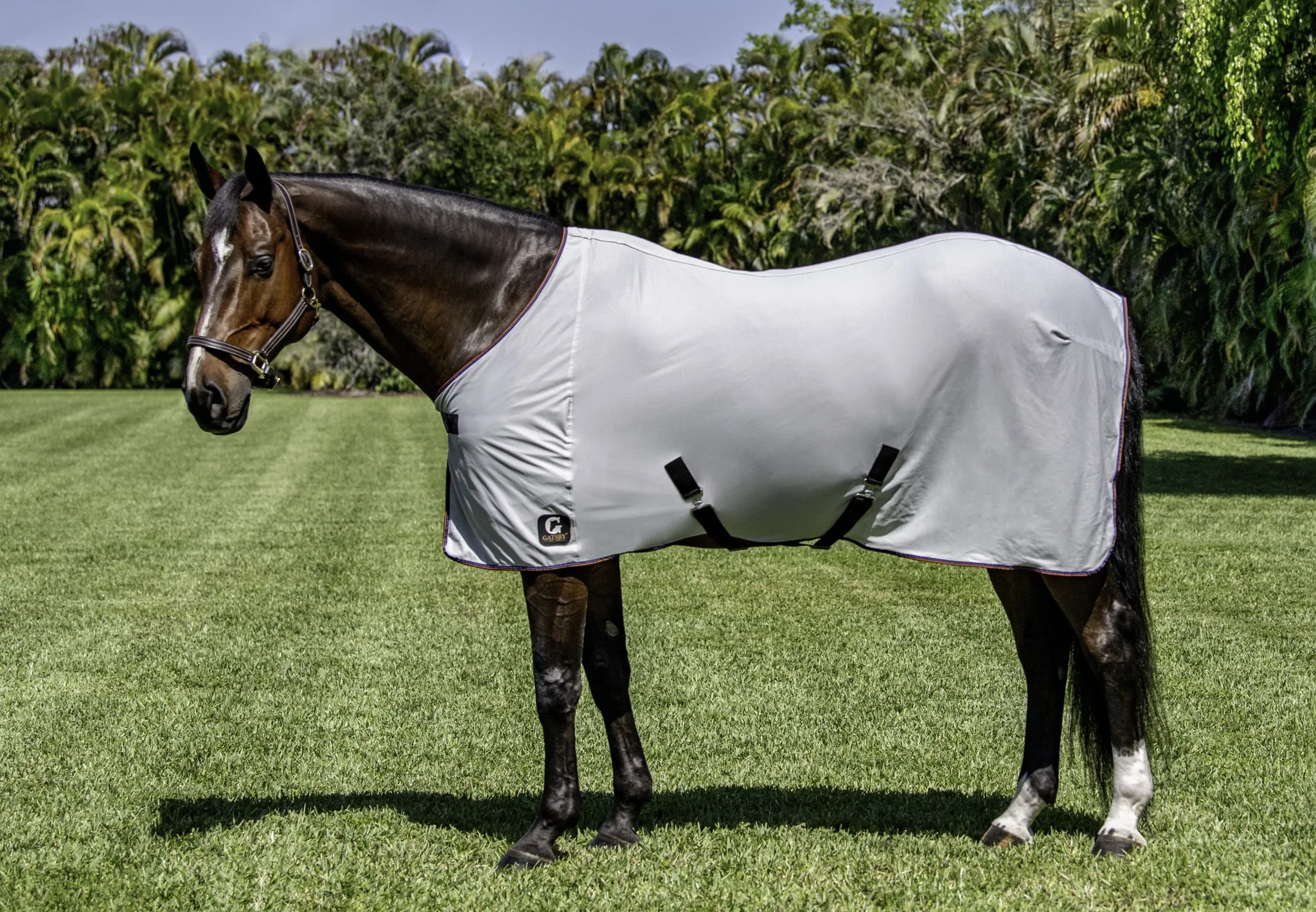 Gatsby Bug-Shield Fly Sheet - Image 3