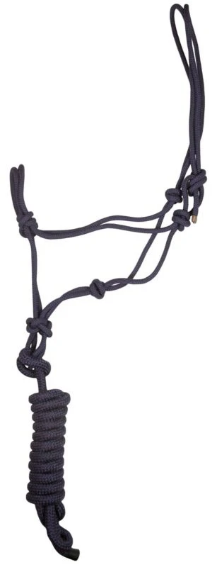 Gatsby Classic Cowboy Halter with Lead - Image 4