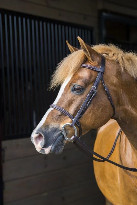 Gatsby Fancy Stitched Raised English Bridle - Image 12