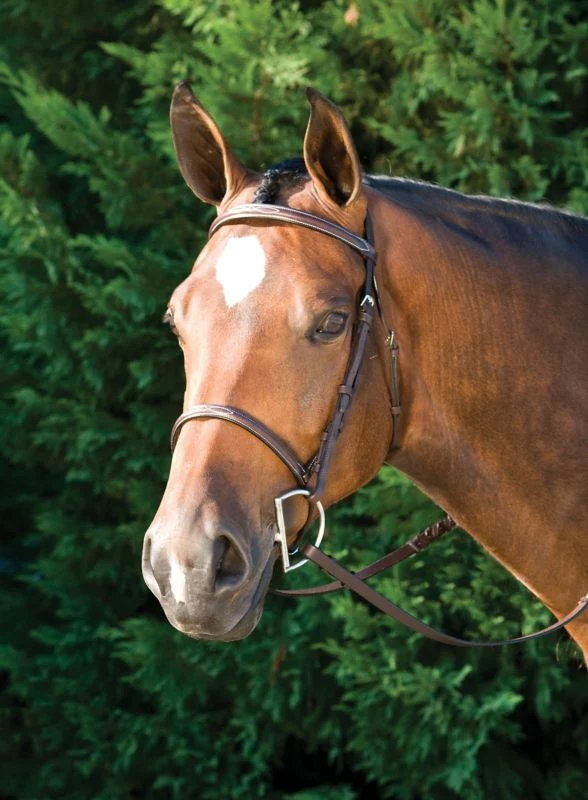 Gatsby Fancy Stitched Raised English Bridle - Image 4