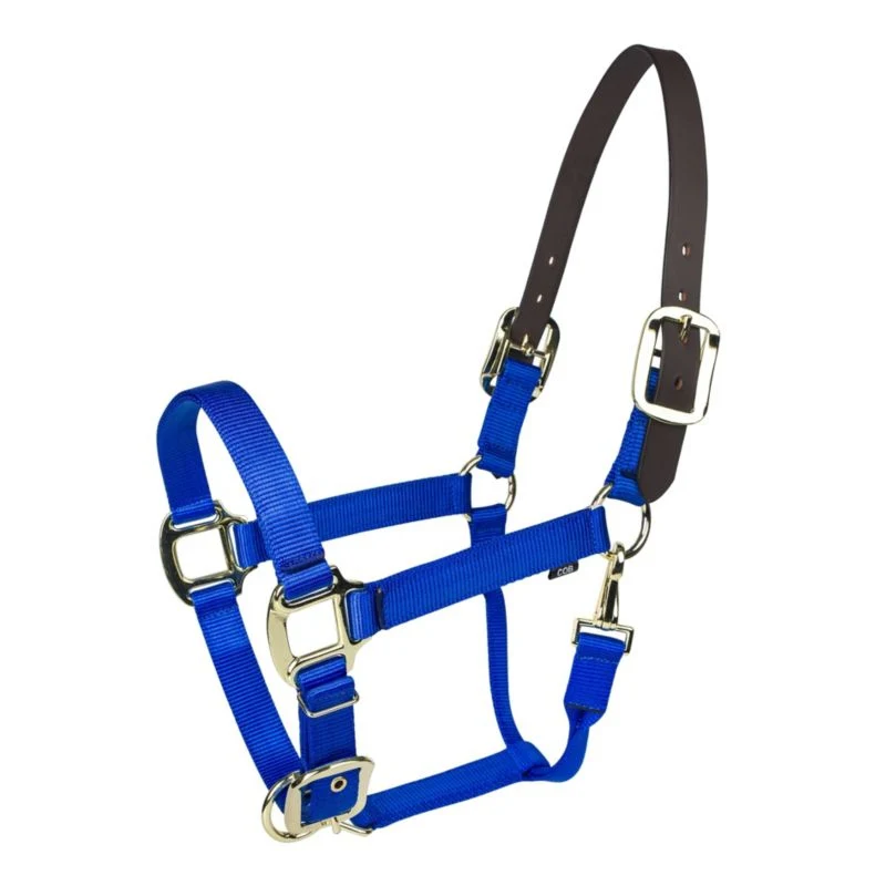 Gatsby Gold Nylon Breakaway Halter - Image 7