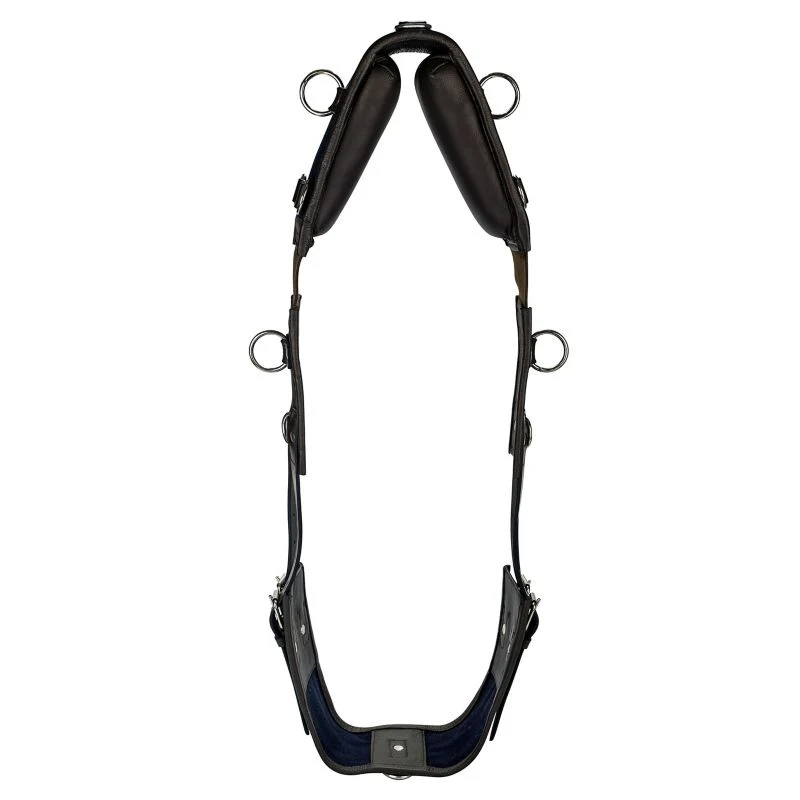 Gatsby Leather Training Surcingle with Webbing - Image 3