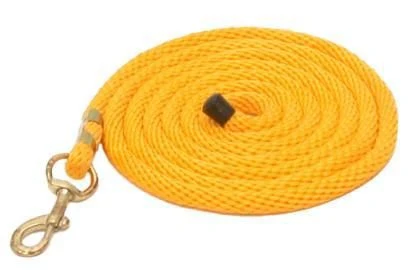Gatsby Poly 10ft Lead/Snap - Image 4