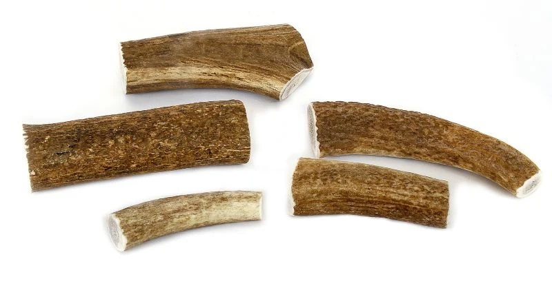 Happy Dog Whole Elk Antler Dog Chew