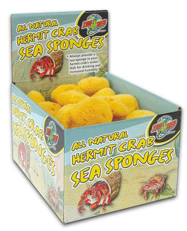 Hermit Crab Sponge 36 piece Natural