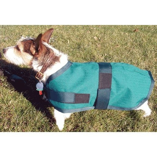 High Spirit Dog Rain Coat - Image 31