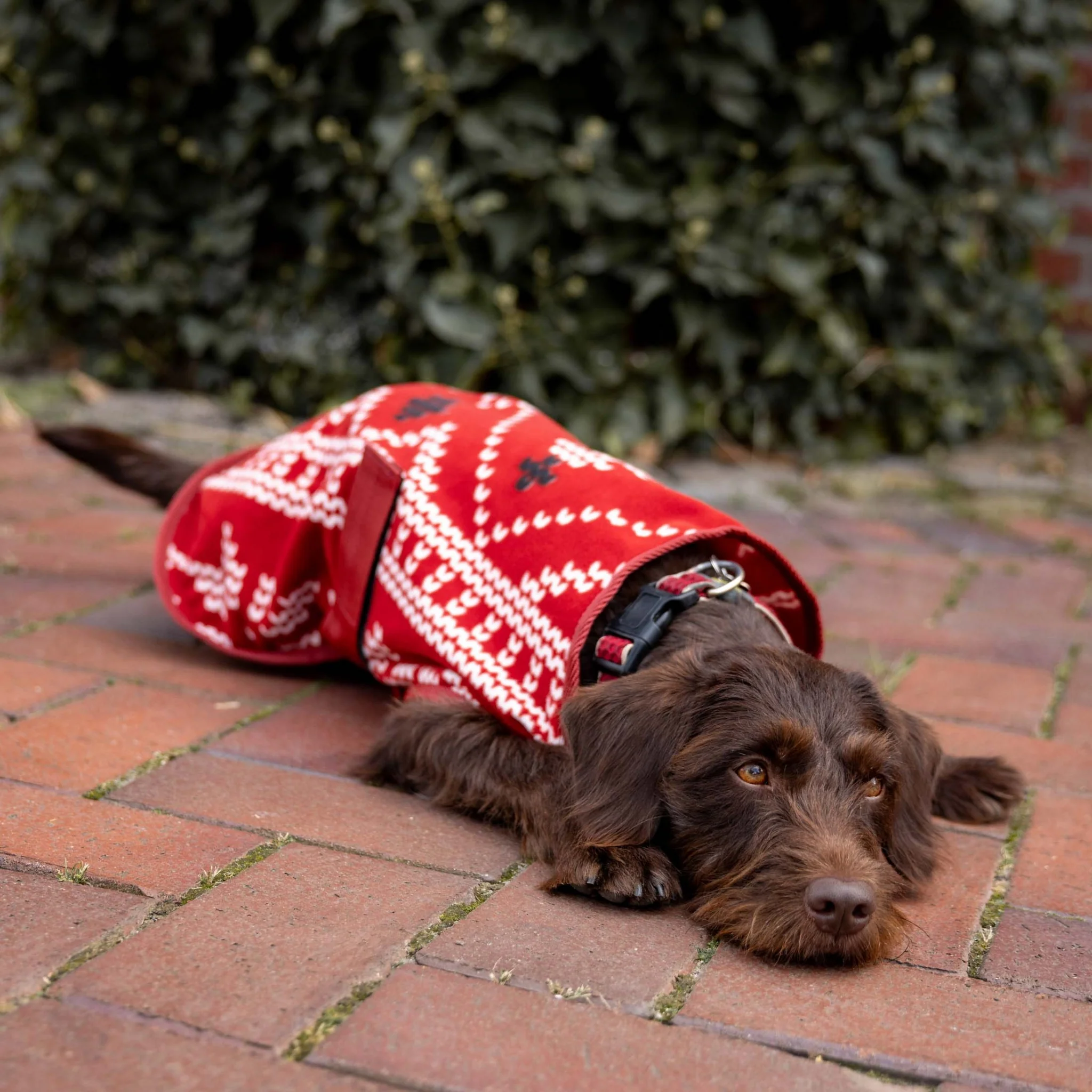 Horze Santa Dog Fleece Coat - Image 4
