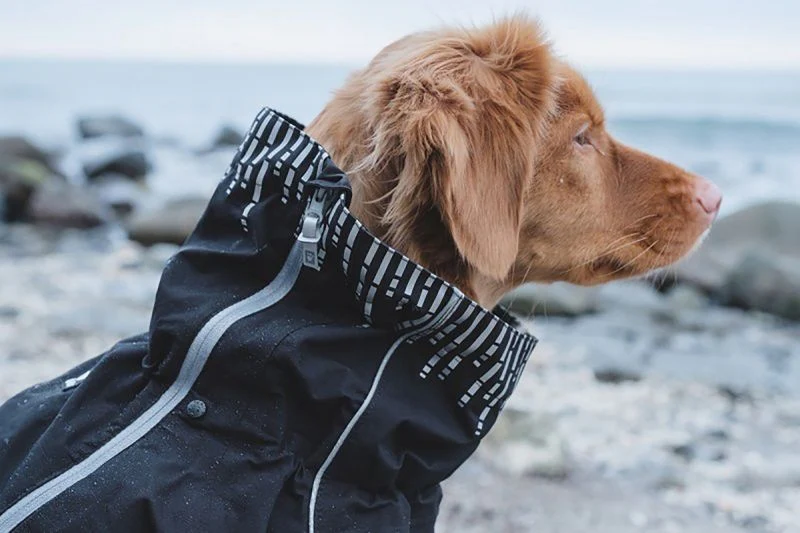 Hurtta Raven Downpour Dog Suit - Image 3
