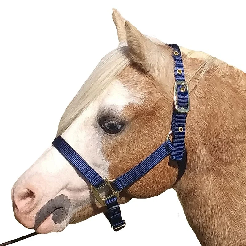 Jacks Training Snaffle Bit 5" Black Steel - Image 9