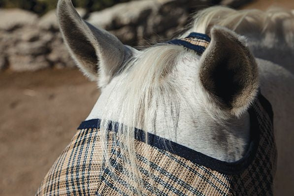 Kensington Long Nose Fly Mask - Image 4