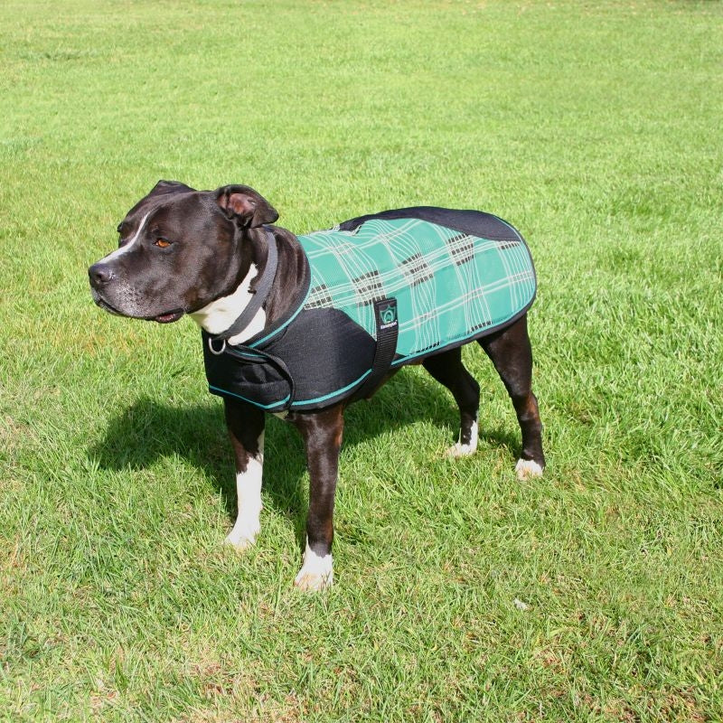 Kensington Plaid Dog Coat - Image 2