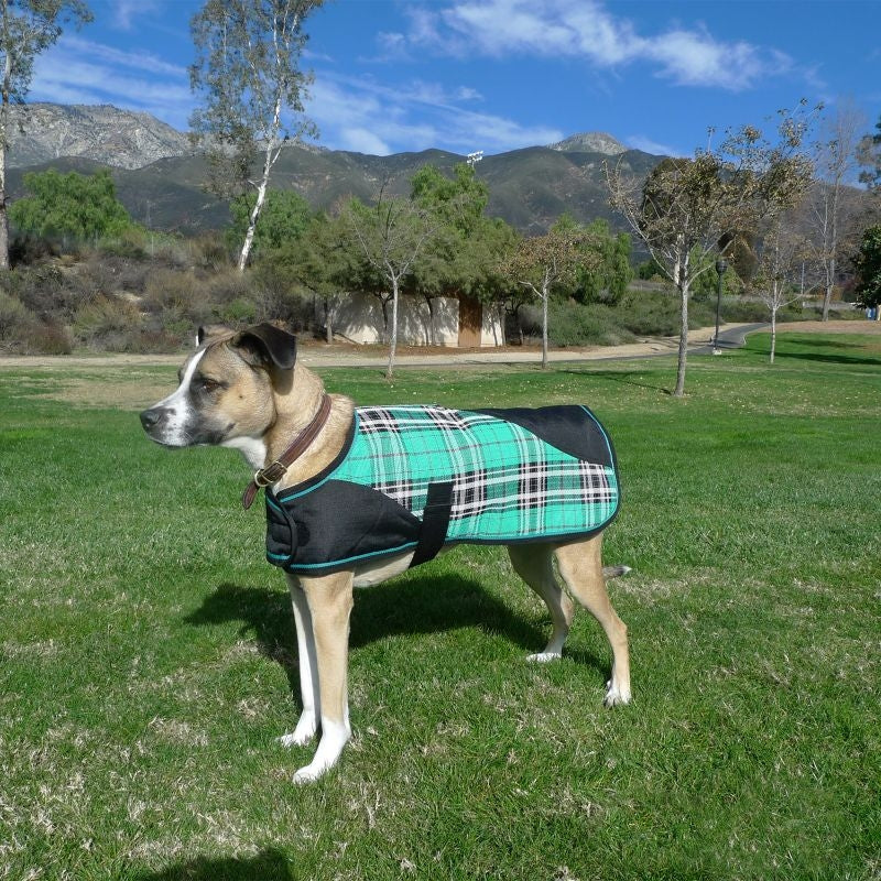 Kensington Plaid Dog Coat - Image 3