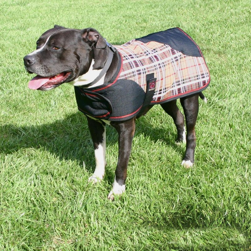 Kensington Plaid Dog Coat - Image 8