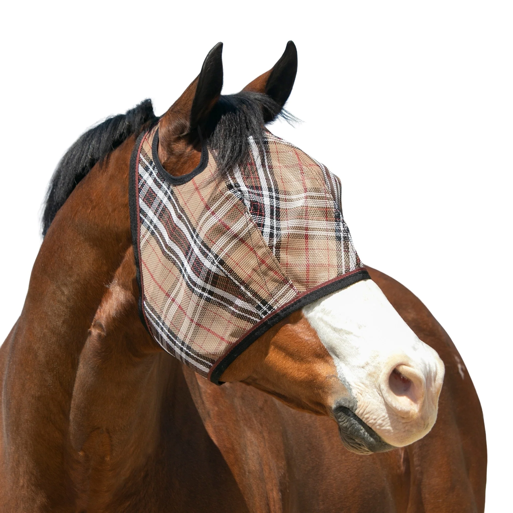 Kensington Fly Mask with 73% UV Protection - Open Top Design - Image 7