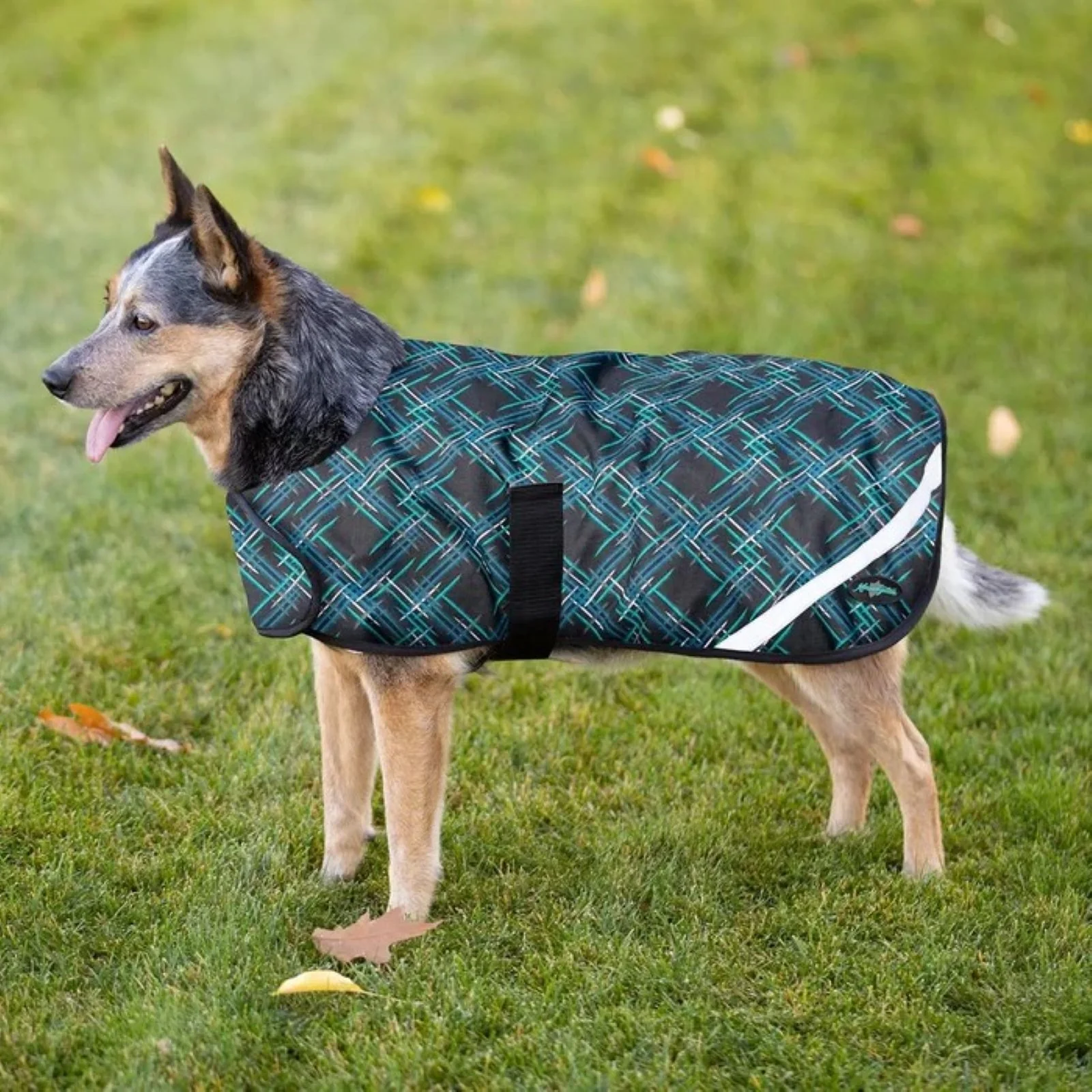 Kensington Standard Dog Coat 180g - Image 2