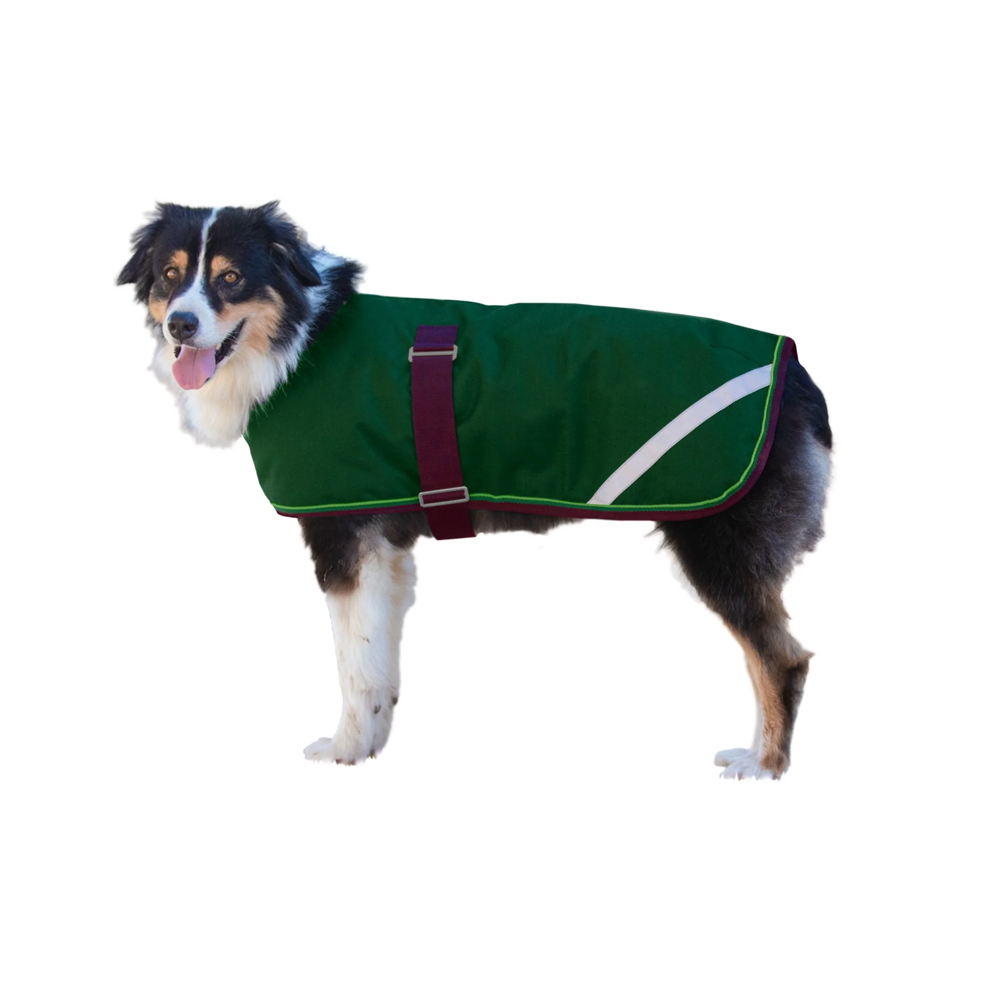 Kensington Standard Dog Coat 180g - Image 3