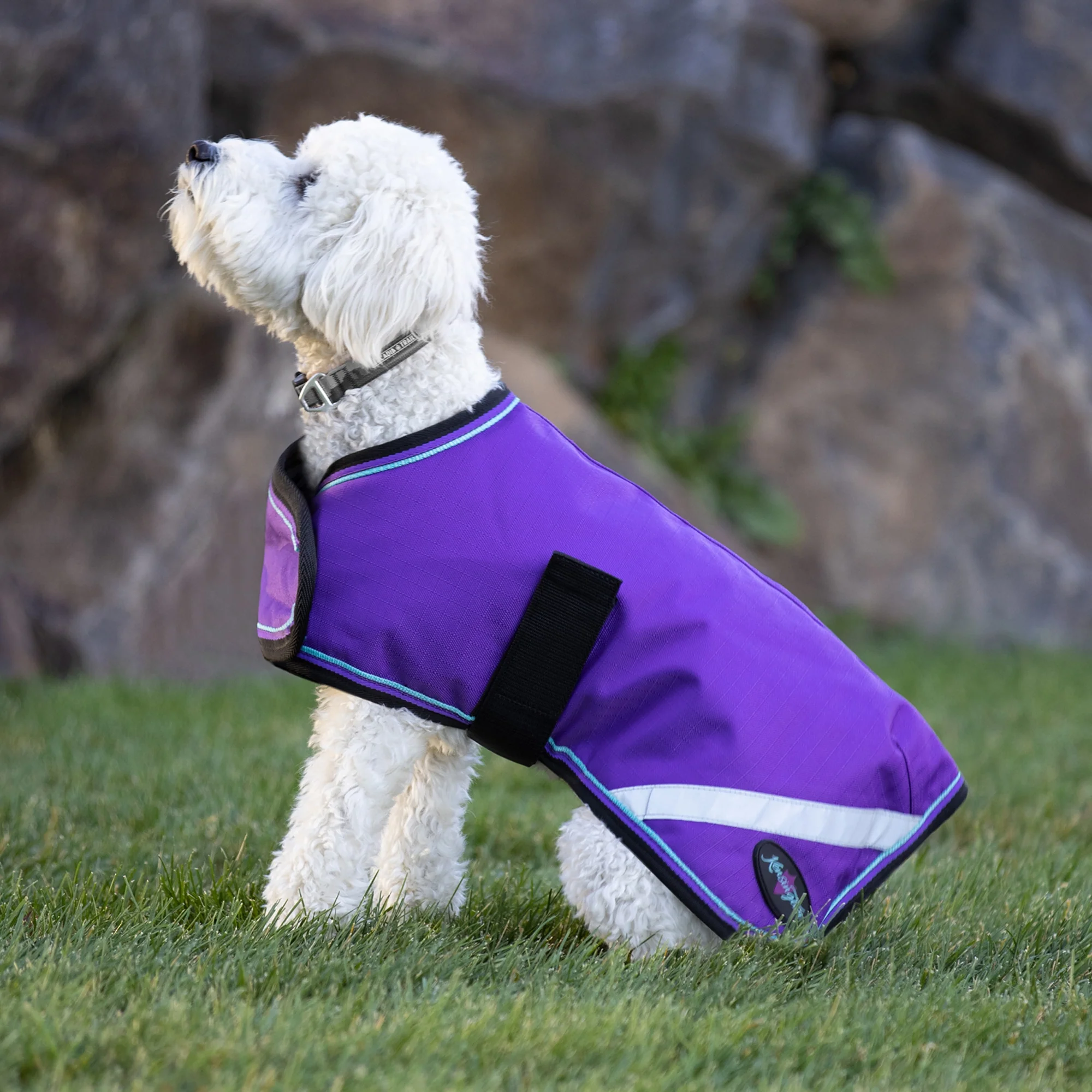 Kensington Standard Dog Coat 180g - Image 7