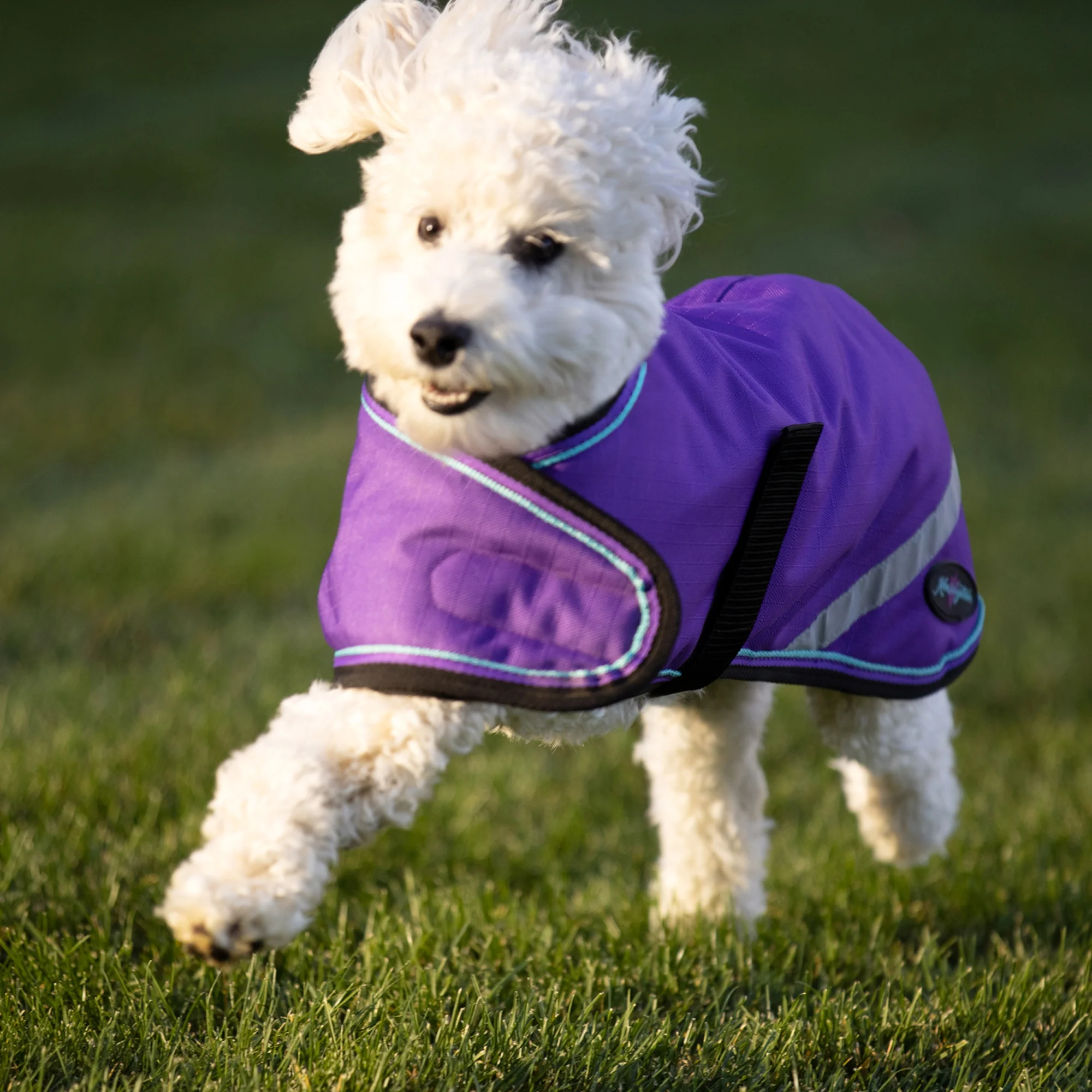 Kensington Standard Dog Coat 180g - Image 9